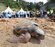 고향 앞으로