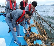 멍게 양식장 피해 상황 살펴보는 노동진 수협중앙회장