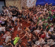 Spain Tomatina