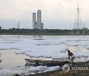 INDIA YAMUNA RIVER POLLUTION