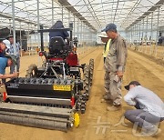 일손 부족 제주 마늘농가, 하루만에 축구장 면적 수확한 비결?