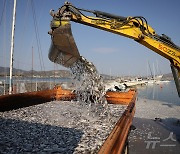 [포토] 그리스 볼로스 항구를 가득 메운 물고기 사체