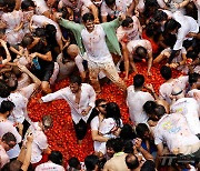 [포토] 토마토 축제로 붉게 물든 스페인