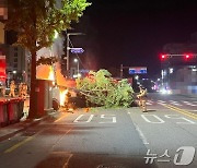 무면허로 렌터카 몰다 전신주·가로수 들이받고 도주한 20대(종합)