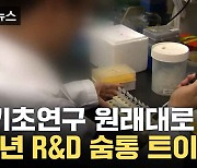 [자막뉴스] "기초연구 예산 원상 복구"... 내년 과기 R&D 예산 숨통 트이나