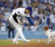 오늘의 주인공, 데코핀의 “시구”...공을 물고 오타니가 기다리는 홈으로