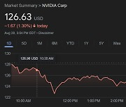 엔비디아 실적 발표 앞둔 미 증시 약세.. 슈퍼마이크로 20% 폭락