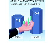 ‘리치개미<고가종목 투자 개인투자자>’ 1년새 40% 늘었다