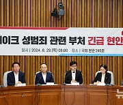 국민의힘 딥페이크 성범죄 관련 부처 긴급 현안보고