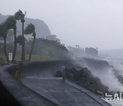 태풍 '산산' 日 열도 본격 상륙…"총 강우량 1000㎜ 넘고 토네이도 동반"