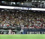 폭염에도, 평일에도 관중 증가…'900만 시대' KBO 리그 팬 지표 살펴보니