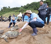 제주서 ‘멸종 위기’ 바다거북 방류