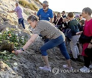 Denmark Sandslide