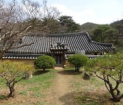 주변 자연과 어우러진 공간…포항 용계정·분옥정, 보물 됐다