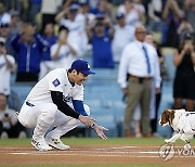 Ohtani Bobblehead Giveaway Baseball