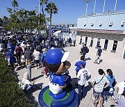 Ohtani Bobblehead Giveaway Baseball