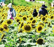 가을의 문턱에서