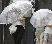 Japan Typhoon