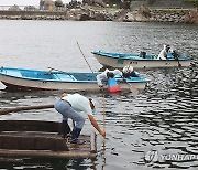 전통 고기잡이 강릉 창경바리 어업