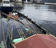 Norway Viking Replica