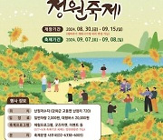 강화군, 5만 송이 해바라기가 '활짝'