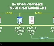 [인사이드 스토리]일시적 3주택 '양도세 비과세' 혼란의 전말