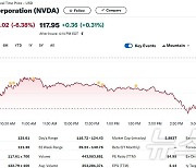 엔비디아 정규장서도 6.38% 급락, 시총 3조달러 붕괴(상보)