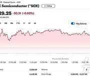 엔비디아 6% 급락에도 반도체지수는 0.60% 하락에 그쳐(종합2)