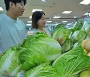 롯데마트, 치솟는 배추 시세 반값 수준으로 잡는다