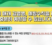 부산시, 진드기·설치류 등 가을철 발열성 매개체 감염병 주의 당부