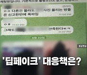 [영상] '사진 합성 음란물' 확산...대책 마련에 '분주'