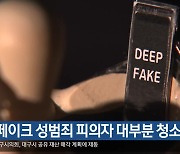 “딥페이크 성범죄 피의자 대부분 청소년”