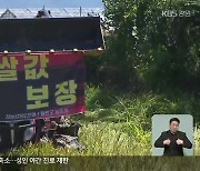 “논 갈아엎는 게 낫다”…농민들, 쌀값 하락 대책 촉구