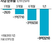 '해리스 수혜' 기대에도…신재생 ETF 자금 유출