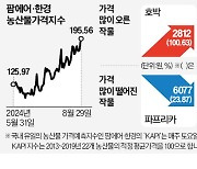 오이·호박 가격, 1주 만에 두 배로 '껑충'