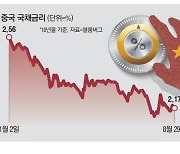 "이러다 금융위기"… 인민銀, 국채 사들였다