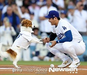 ‘황금 한정판’에 4시간 전부터 구름관중..야구 천재 오타니는 반려견도 ‘완벽 시구’