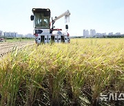 전북 낮 32~34도 '가끔 구름'…고창 폭염경보