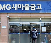 '다시 뛴' 새마을금고 연체율, 상반기 7.24%…순손실 1조2천억