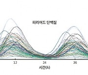 배꼽시계 비밀이 미분이었어?… 수포자였던 나, 수학이 재밌네