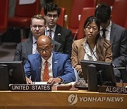 Israel Palestinians UN Security Council