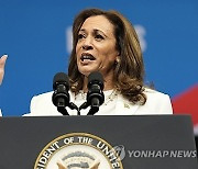 Election 2024 Harris