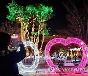 '세종 빛 축제' 폐지 위기…시의회 상임위서 예산 전액 삭감