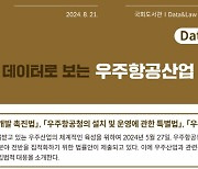 우주청 예산 늘었지만···데이터로 본 우주항공산업은?[우주이야기]