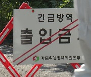 추석 앞두고 또 아프리카돼지열병...방역 총력