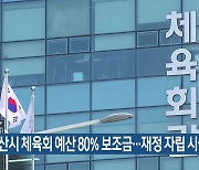 “부산시 체육회 예산 80% 보조금…재정 자립 시급”