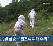 벌 쏘임 사고 9월 급증…“벌초객 피해 주의”