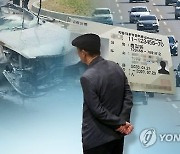 “어르신, 운전면허 반납하면 60만원 드려요”...전국서 가장 많이 주는 곳 어디?