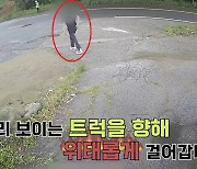 [영상]‘이 차는 이제 제겁니다’(?) 공사차량 훔쳐 달아난 만취男, 행방도 묘연…결국?