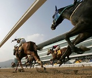 렛츠런파크 부산경남, 9월 경마시행 계획 발표